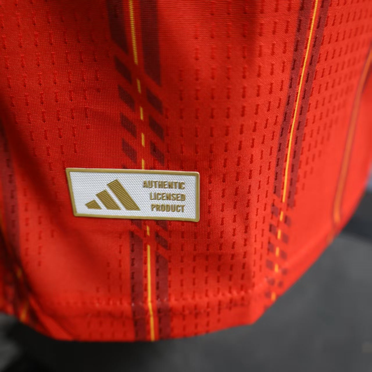 Spain 25/26 home jersey player version